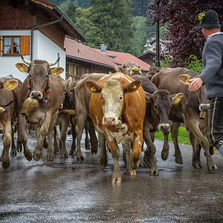 Ferienwohnung Zobl Füssen Esterno foto